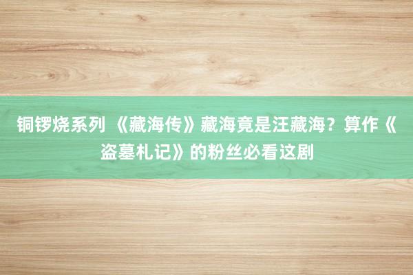 铜锣烧系列 《藏海传》藏海竟是汪藏海？算作《盗墓札记》的粉丝必看这剧