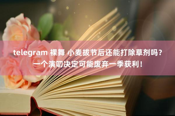 telegram 裸舞 小麦拔节后还能打除草剂吗？一个演叨决定可能废弃一季获利！