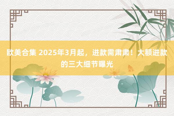 欧美合集 2025年3月起，进款需肃肃！大额进款的三大细节曝光