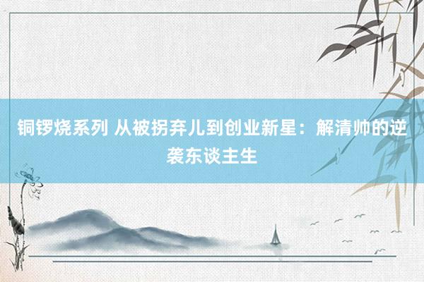 铜锣烧系列 从被拐弃儿到创业新星：解清帅的逆袭东谈主生
