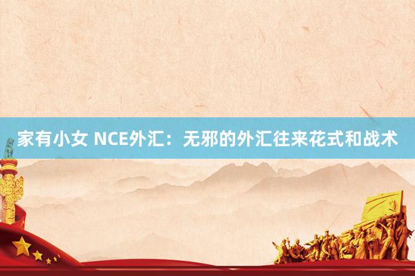 家有小女 NCE外汇：无邪的外汇往来花式和战术
