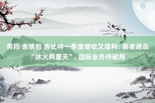 男同 表情包 吉比特一季度增收又增利: 新老居品“冰火两重天”, 国际业务待破局