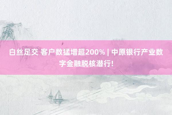 白丝足交 客户数猛增超200% | 中原银行产业数字金融脱核潜行!