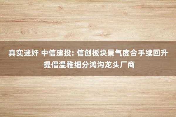 真实迷奸 中信建投: 信创板块景气度合手续回升 提倡温雅细分鸿沟龙头厂商