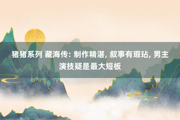 猪猪系列 藏海传: 制作精湛， 叙事有瑕玷， 男主演技疑是最大短板