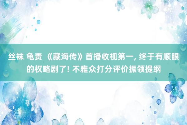 丝袜 龟责 《藏海传》首播收视第一, 终于有顺眼的权略剧了! 不雅众打分评价振领提纲
