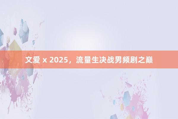 文爱 x 2025，流量生决战男频剧之巅