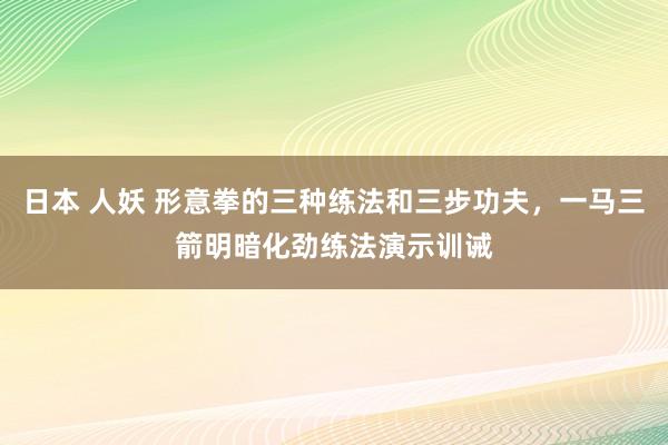 日本 人妖 形意拳的三种练法和三步功夫，一马三箭明暗化劲练法演示训诫