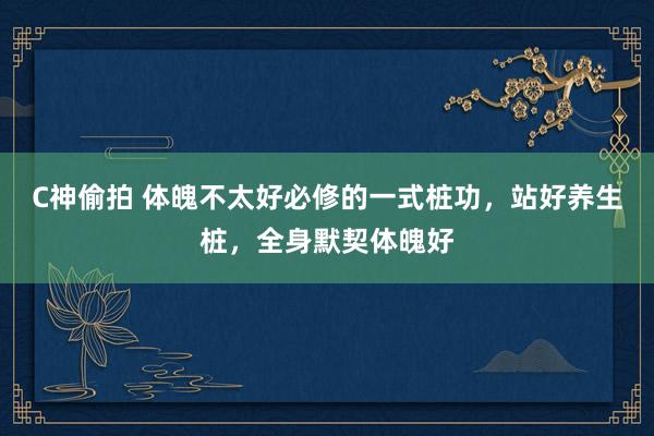 C神偷拍 体魄不太好必修的一式桩功，站好养生桩，全身默契体魄好