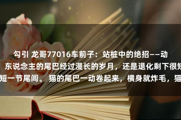 勾引 龙哥77016车前子：站桩中的绝招——动尾闾 尾闾，别号尾巴骨，东说念主的尾巴经过漫长的岁月，