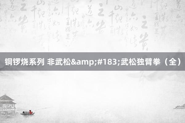铜锣烧系列 非武松&#183;武松独臂拳（全）