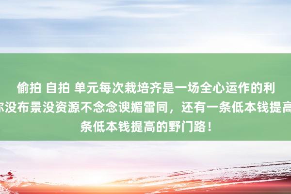偷拍 自拍 单元每次栽培齐是一场全心运作的利益交换！你没布景没资源不念念谀媚雷同，还有一条低本钱提高
