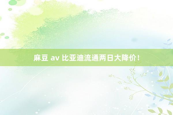 麻豆 av 比亚迪流通两日大降价！
